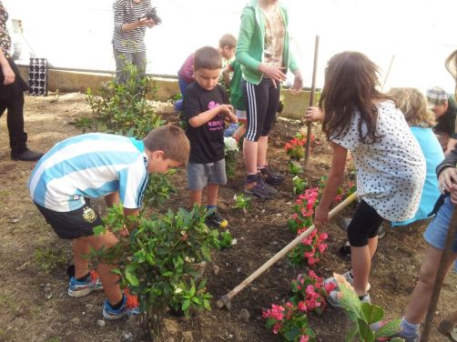 albaolako kanpoaldea txukunduz