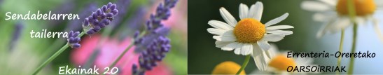 Sendabelarren tailerra - ekainak 20