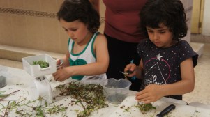 Aiton-amonen ukenduak tailerra - Belarrak mozten