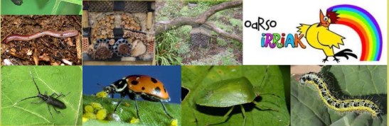 baratzeko xomorroak_PORTADA