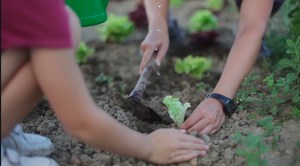 Irribaratzea Arg: Mendi Urruzuno